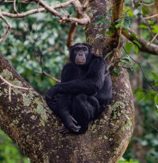 picture by Alex Piel