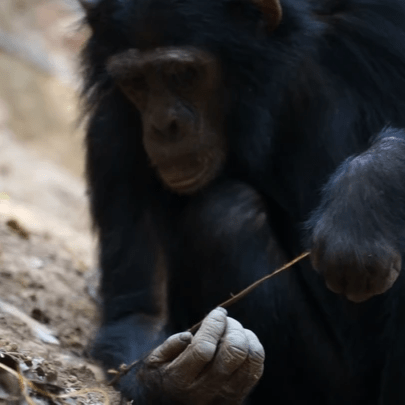 picture by Seth Phillips