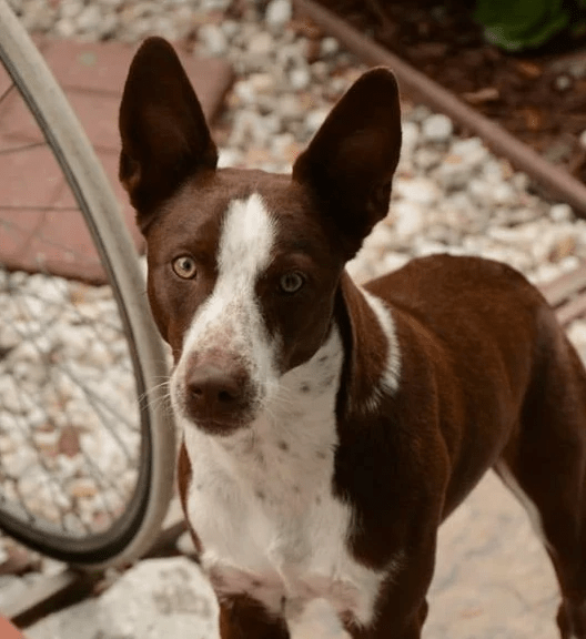 picture by Virgile Manin