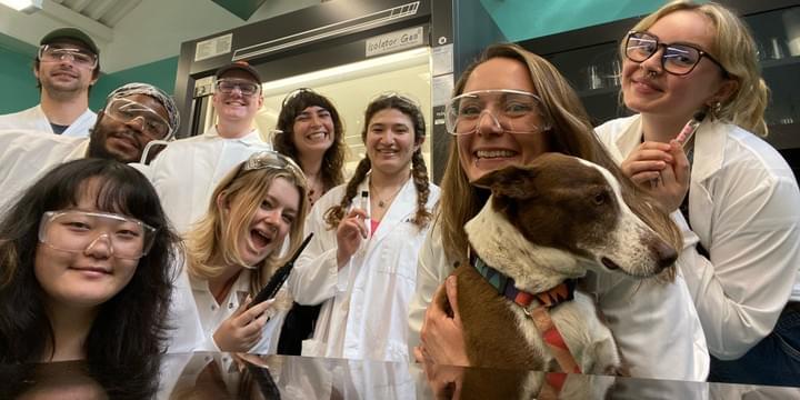 picture by Alex Piel