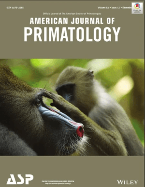 picture by Paul Amblard-Rambert