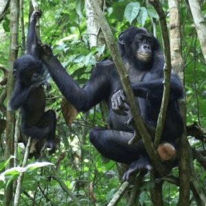 Photo by Caroline Deimel