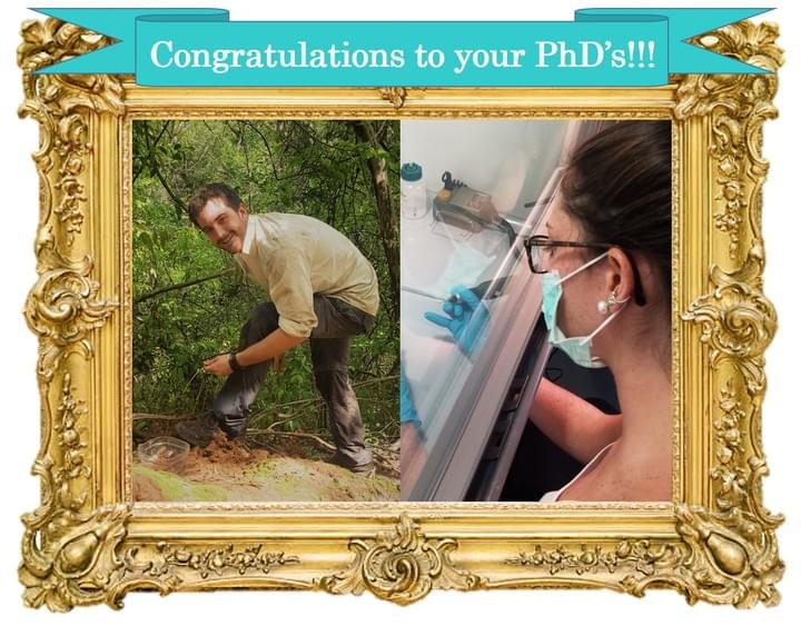 picture by Alex Piel