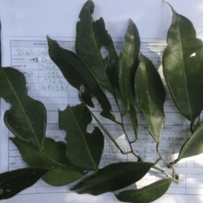 picture by Vicky Oelze