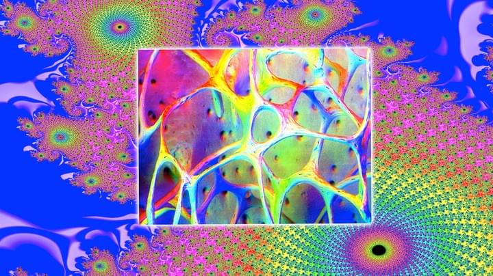 Klangmeditation mit Stimmgabeln