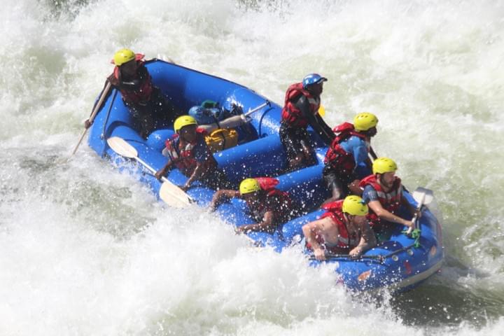 Cape Buffalo, Chobe National Park, Chobe Day Trip, Chobe Day Tour, Chobe River, Chobe Safari, Victoria Falls, Botswana