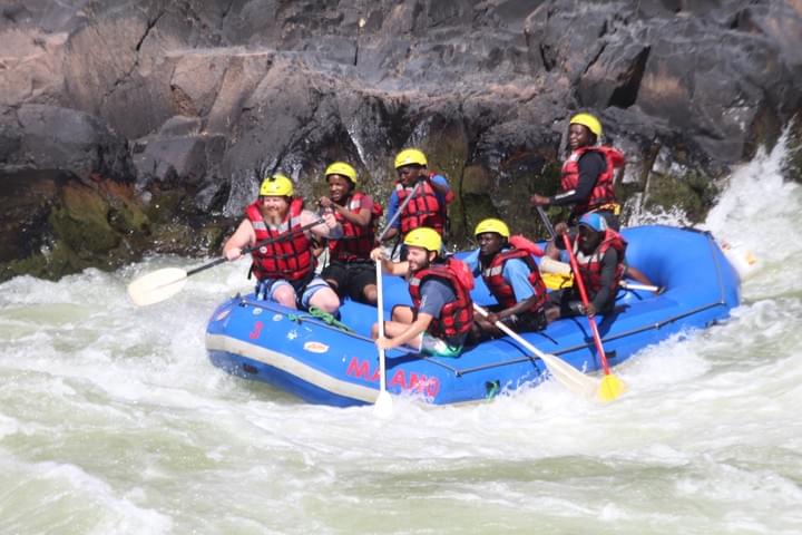 Cape Buffalo, Chobe National Park, Chobe Day Trip, Chobe Day Tour, Chobe River, Chobe Safari, Victoria Falls, Botswana