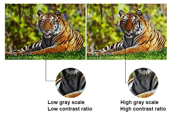 high gray scale indoor rental led display performance