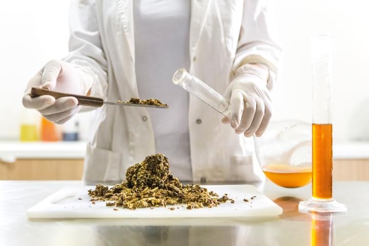 Propolis et miel