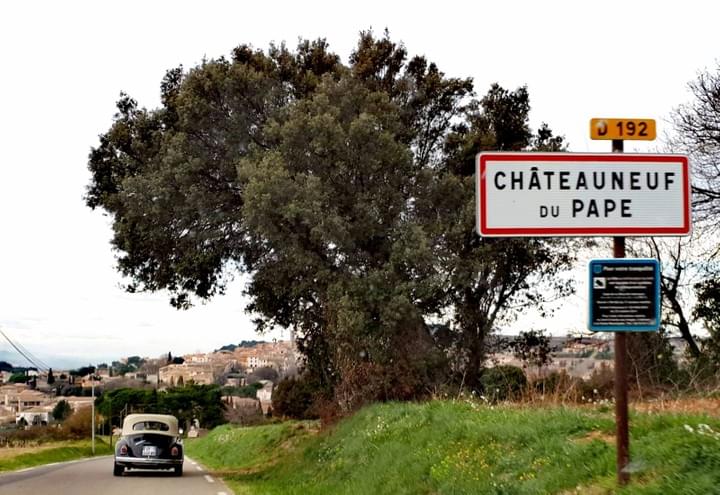 Balade sur la route des vins