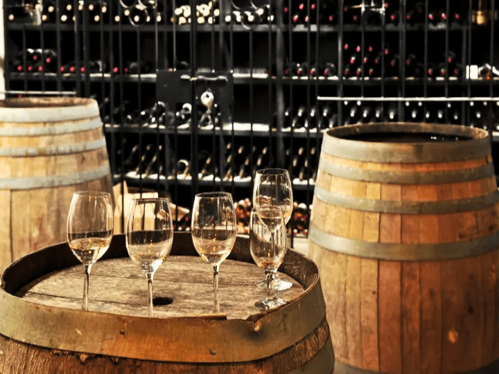 Dégustation de vin en Provence