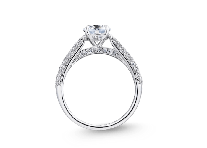 DSC日本鉑金華麗排鑽求婚鑽戒