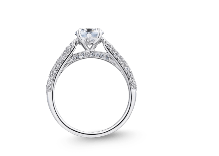 DSC日本鉑金華麗排鑽求婚鑽戒