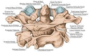 Section image