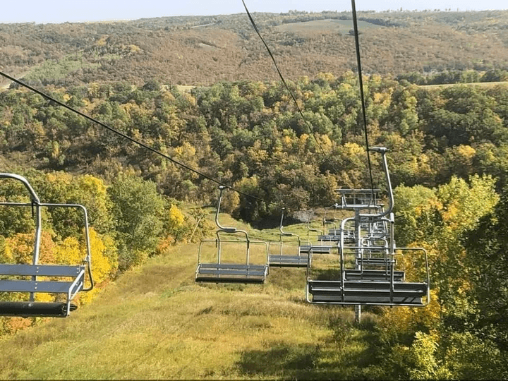 Section image
