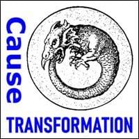 Cause Transformation, Trainer Path, Possibility Management