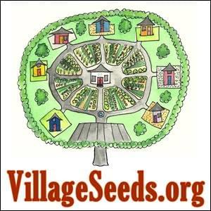 Village Seeds, StartOver.xyz, powered by Possibility Management Village Seeds, StartOver.xyz, powered by Possibility Management