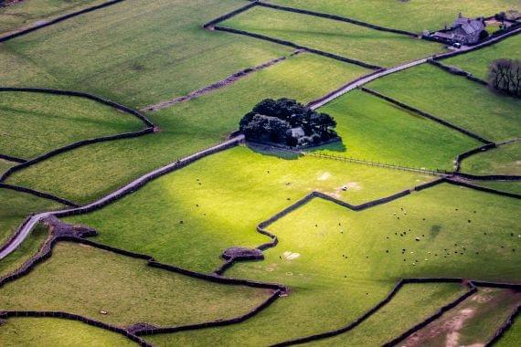 Expert online tutoring inspired by the Lake District's natural beauty. Personalized learning journeys for 11+, GCSE, and creative writing. Where every child climbs at their own pace.
