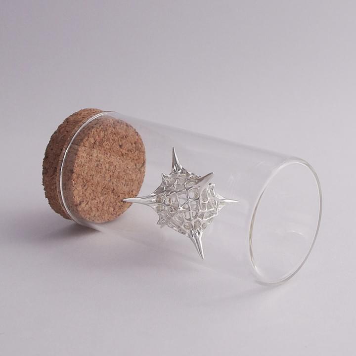 Section image