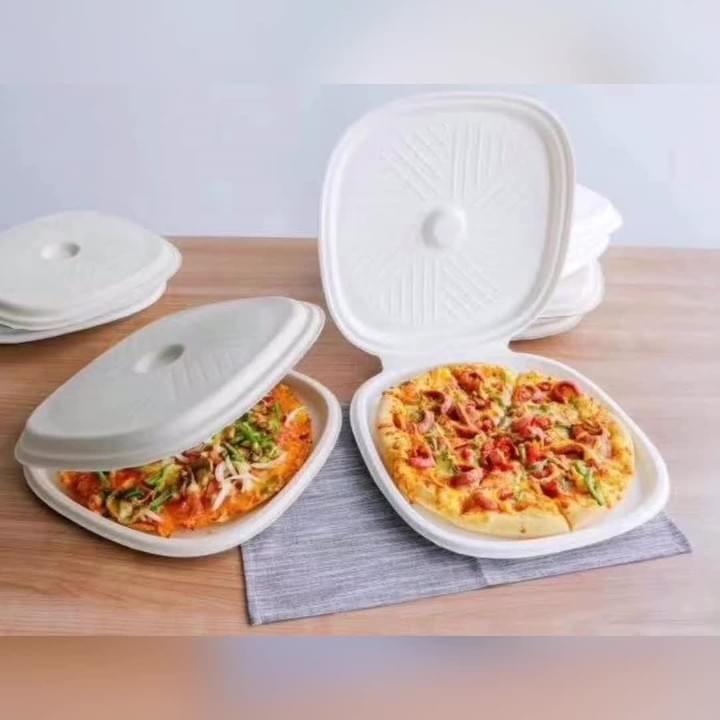 Biodegradable Compostable Natural Plant Fiber Pulp Disposable takeaway Take-Out Pizza Takeaway Packaging Boxes 