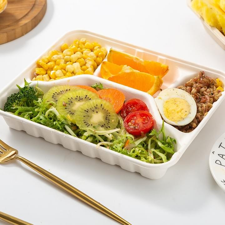 Biodegradable Compostable Sugarcane Bagasse Pulp Disposable 5-Compartment Food Take Out Containers Trays with Lids