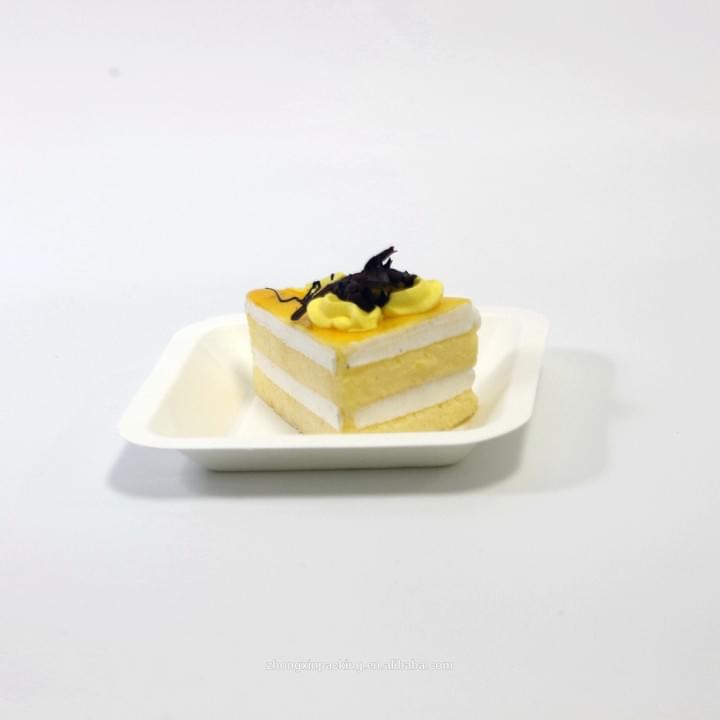 Biodegradable Compostable Sugarcane Bagasse Pulp Disposable Rectangle Cake Tray