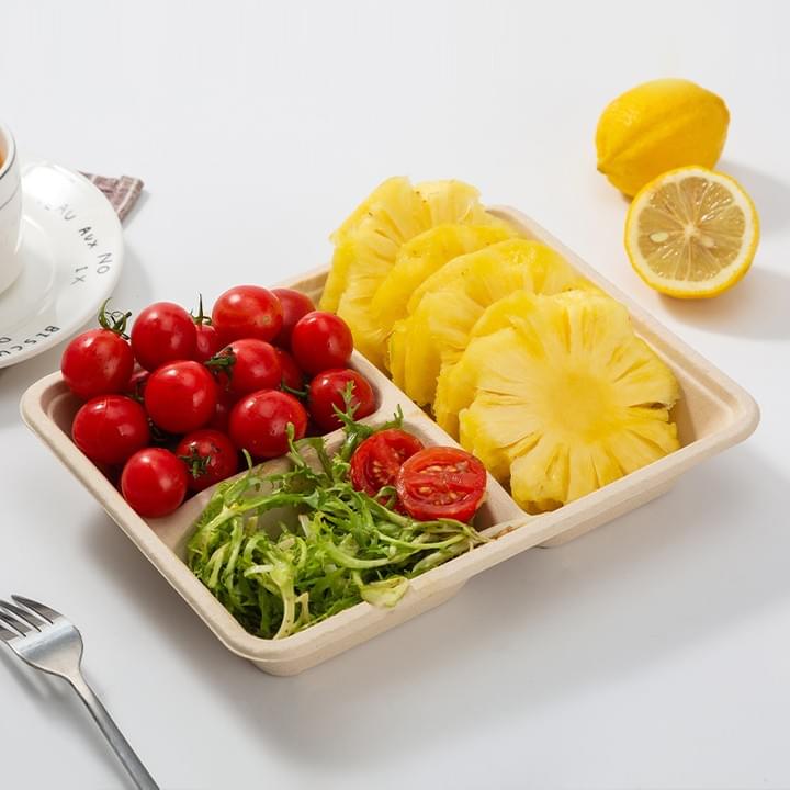 Biodegradable Compostable unbleached Sugarcane Bagasse Pulp Disposable 3-Compartment Food Take Out Containers Trays with Lids