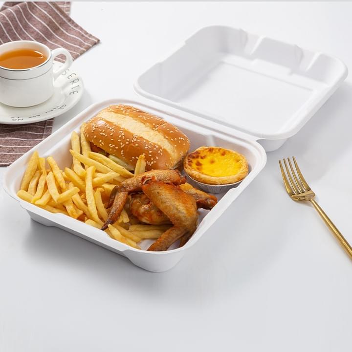 Biodegradable Compostable Natural Plant Fiber Pulp Disposable takeaway Take-Out Square Food Clamshell Hinged Lid