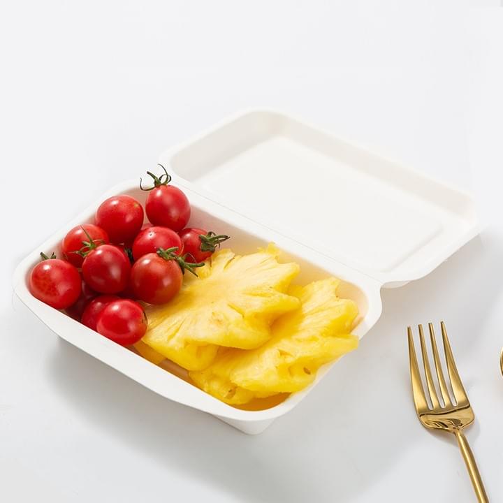 Biodegradable Compostable Sugarcane Bagasse Pulp Disposable Rectangle Food Containers
