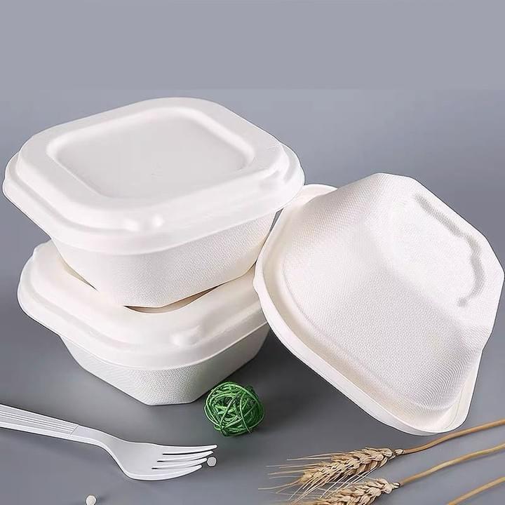 Biodegradable Compostable Natural Plant Fiber Pulp Disposable takeaway Take-Out single compartment container with lids
