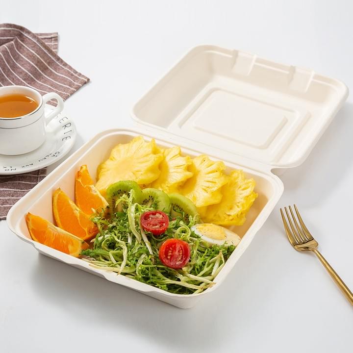 Biodegradable Compostable Natural Plant Fiber Pulp Disposable takeaway Take-Out single single compartment container with lids for fruit salad