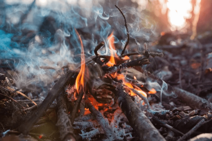 ブッシュクラフトのワークショップ