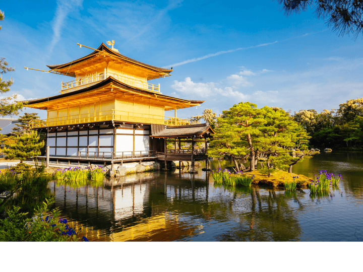 Arashiyama bamboo grove