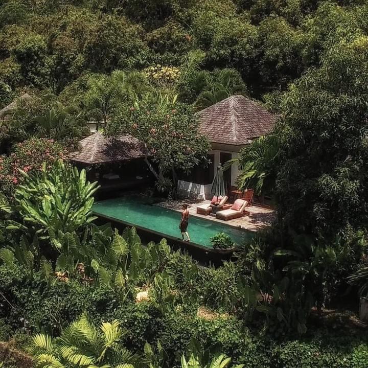 Arashiyama bamboo grove