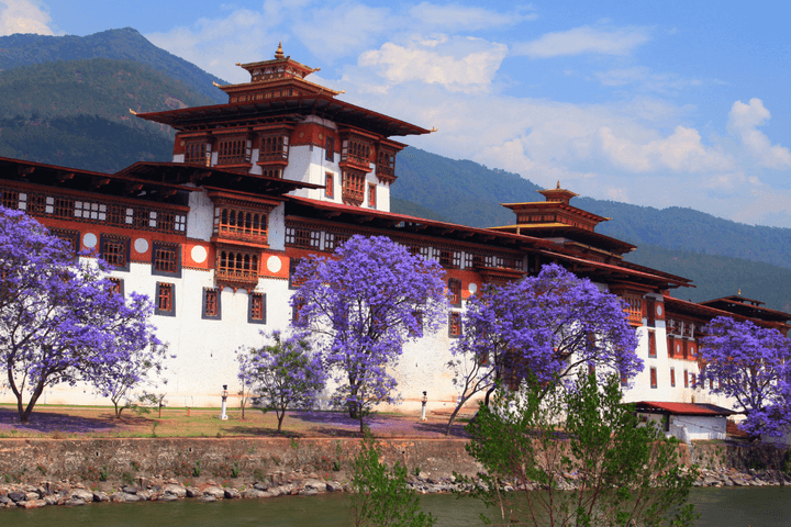 Punakha Dzong Bhuddhist Temple