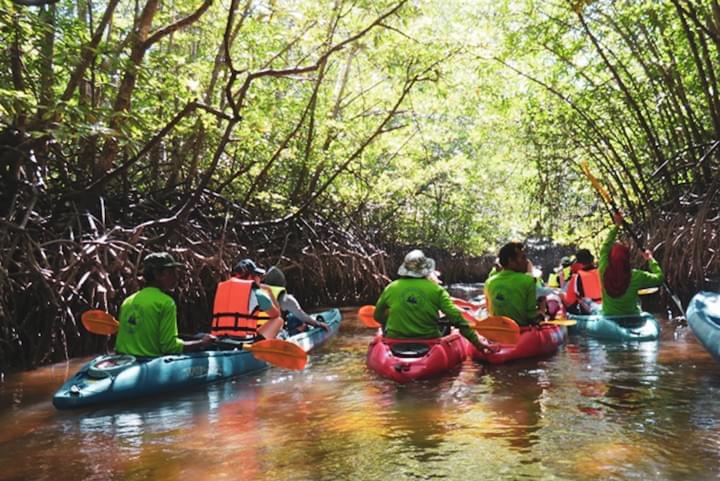 1 Day Tour at Ban Tha Din Daeng, Phang Nga