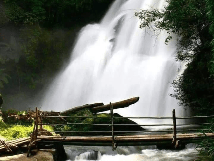 a day tour in Chiang Mai 