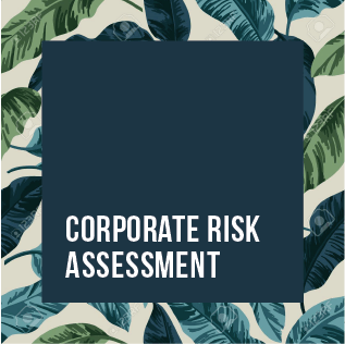 Corporate Risk  Assessment