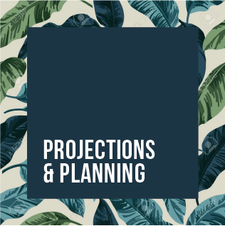 Projections  & Planning