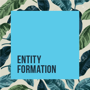 Entity Formation