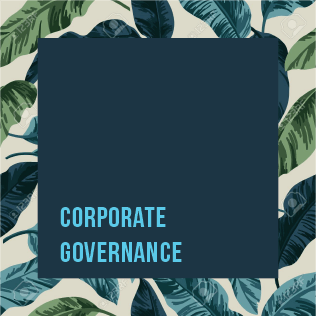 Corporate  Governance