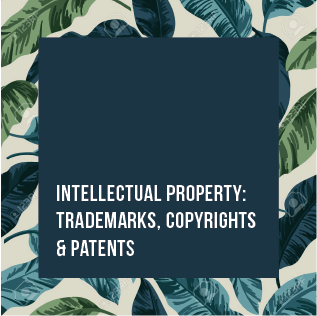 Intellectual Property