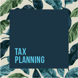 Tax Planning