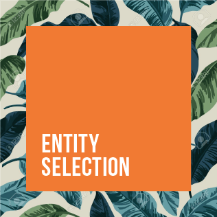 Entity Selection