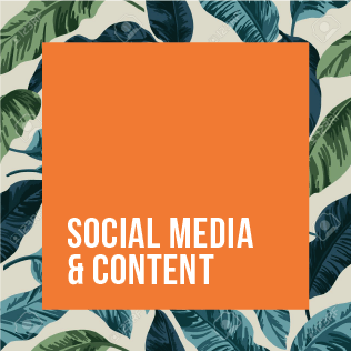 Social Media  & Content