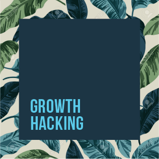 Growth Hacking
