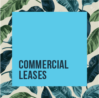 Commercial  Leases