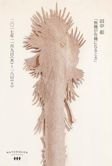Sho Tanaka | 田中彰