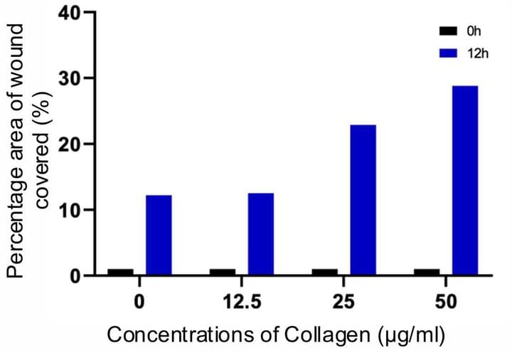 [COLPATCH] Fish-scale for First aid on Strikingly