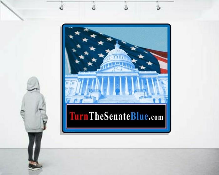 TurnTheSenateBlue.com